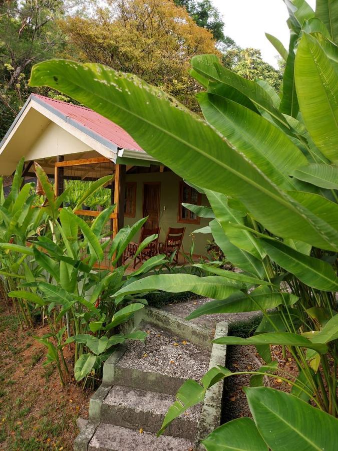 Cabina Rancho La Merced Увита Экстерьер фото